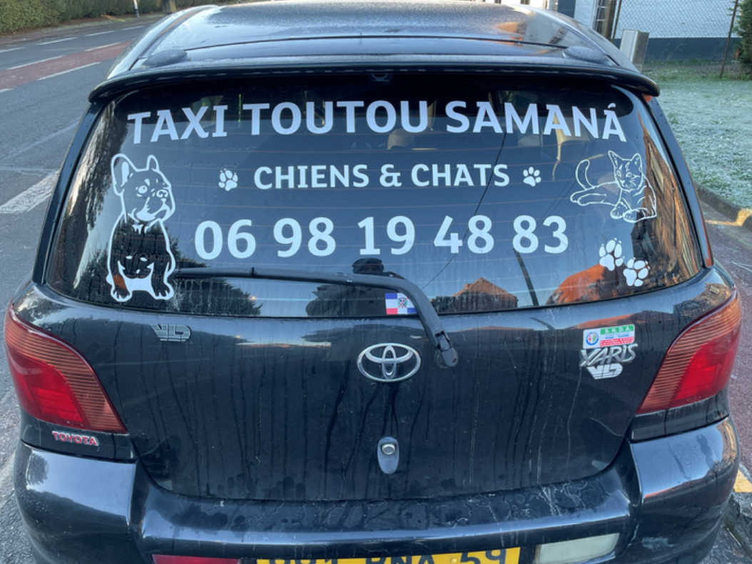 Des taxis pour toutous
